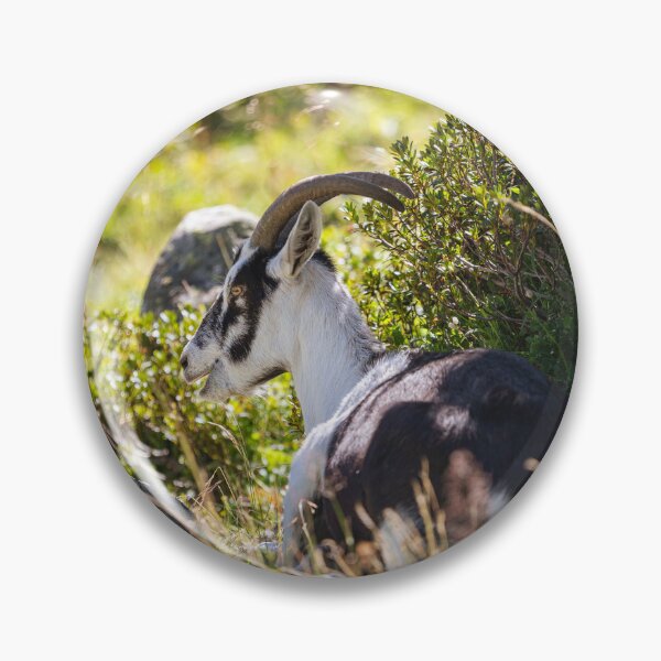 Item preview, Alpine Goat in the Mountains designed and sold by alicjamiekina.