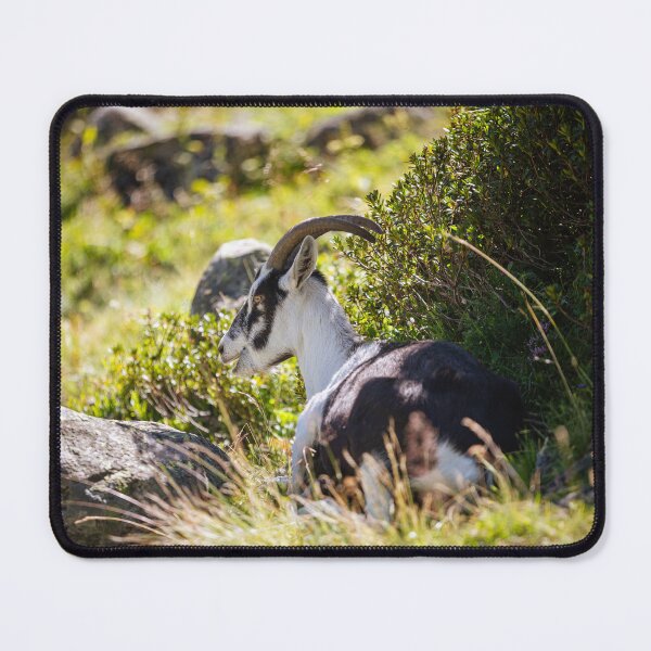 Item preview, Alpine Goat in the Mountains designed and sold by alicjamiekina.