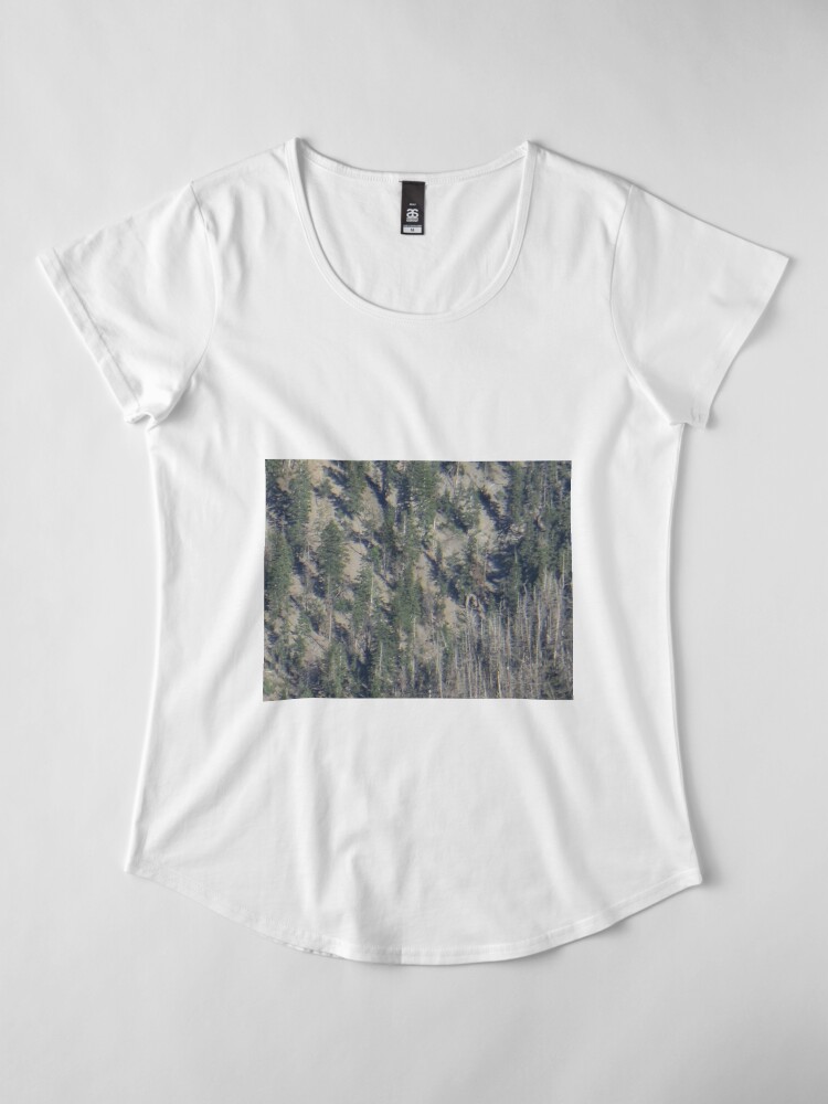 Alternative Ansicht von Frühlingsgebirgs-Waldlandschaft Premium Rundhals-Shirt