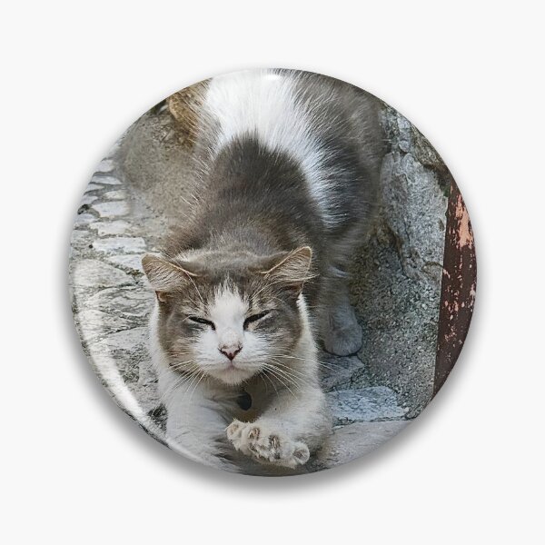 Artikelvorschau, Katzen-Stretchfieber entworfen und verkauft von roadwarriorart.