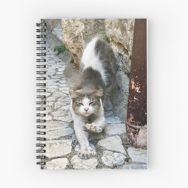 Item preview, Cat Stretch Fever designed and sold by roadwarriorart.