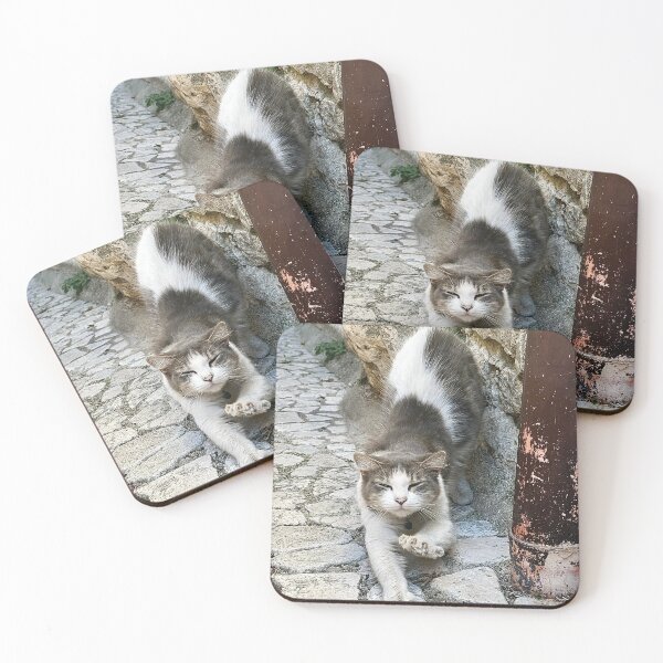 Item preview, Cat Stretch Fever designed and sold by roadwarriorart.