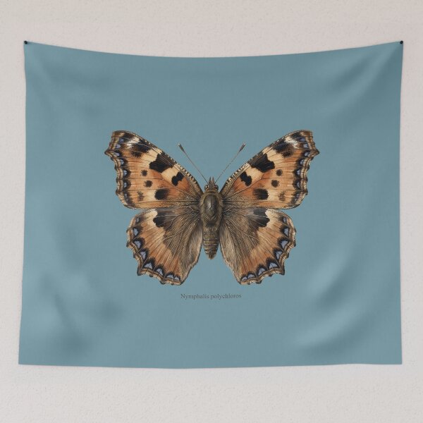 Item preview, Large Tortoiseshell Butterfly Nymphalis Polychloros Art Print: Vintage Dark Academia Entomology Decor designed and sold by FreiherrPK.