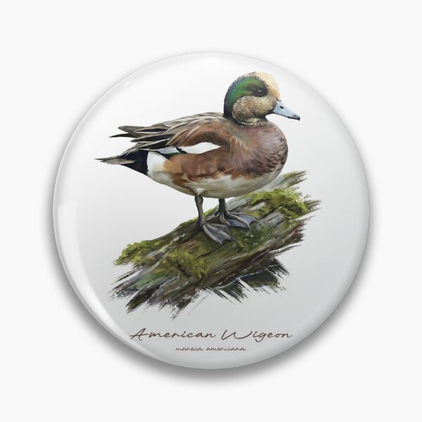 Item preview, American Wigeon on Mossy Log Bird Illustration designed and sold by Takeda-art.