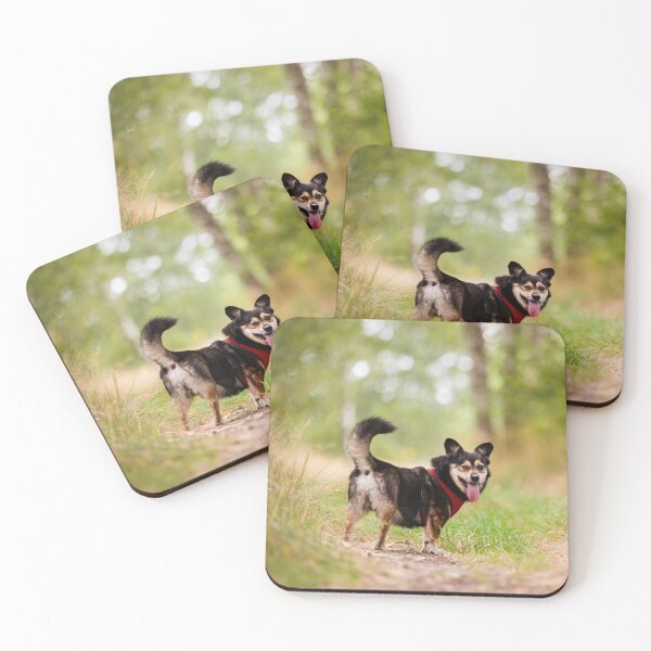 Item preview, Happy Dog on a Forest Adventure designed and sold by alicjamiekina.
