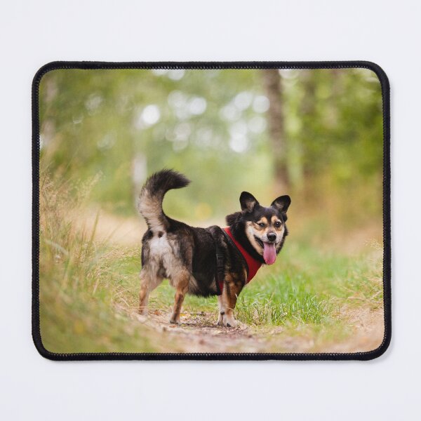 Item preview, Happy Dog on a Forest Adventure designed and sold by alicjamiekina.