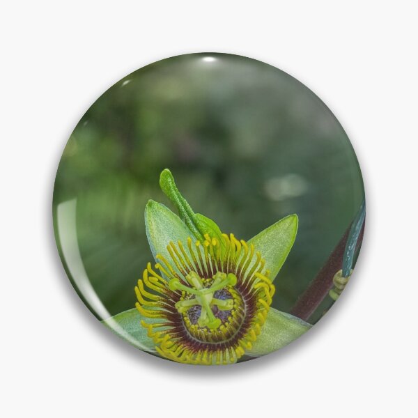 Item preview, Passiflora coriacea designed and sold by Photopat.