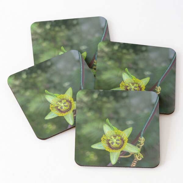 Item preview, Passiflora coriacea designed and sold by Photopat.