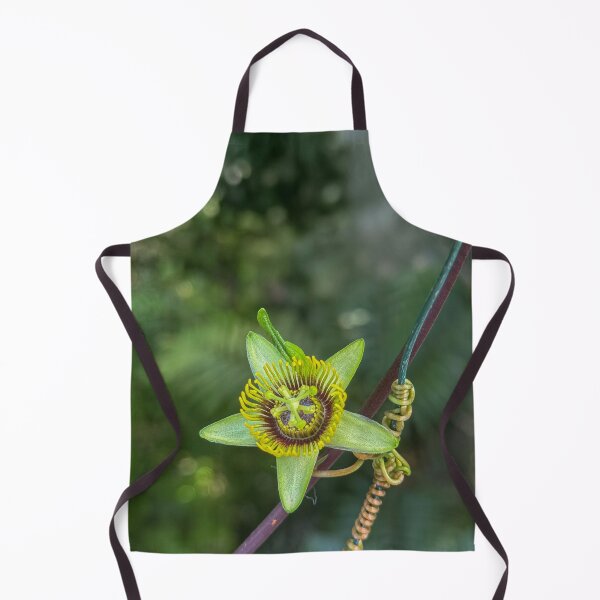 Item preview, Passiflora coriacea designed and sold by Photopat.