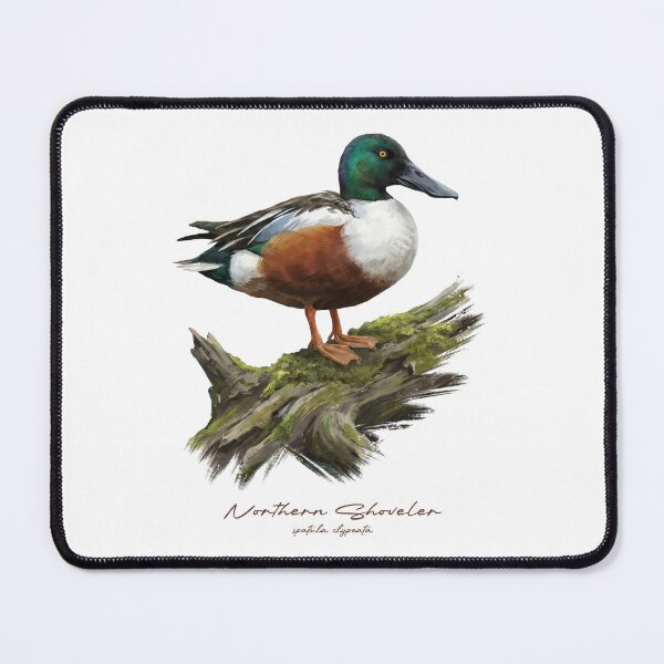 Item preview, Northern Shoveler on Mossy Log Bird Illustration designed and sold by Takeda-art.