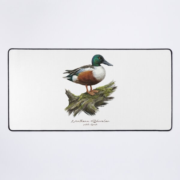 Item preview, Northern Shoveler on Mossy Log Bird Illustration designed and sold by Takeda-art.