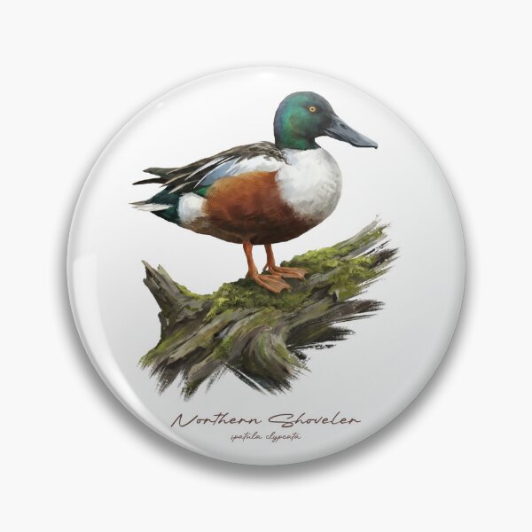 Item preview, Northern Shoveler on Mossy Log Bird Illustration designed and sold by Takeda-art.