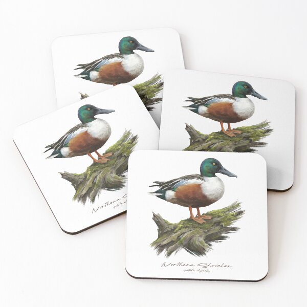 Item preview, Northern Shoveler on Mossy Log Bird Illustration designed and sold by Takeda-art.