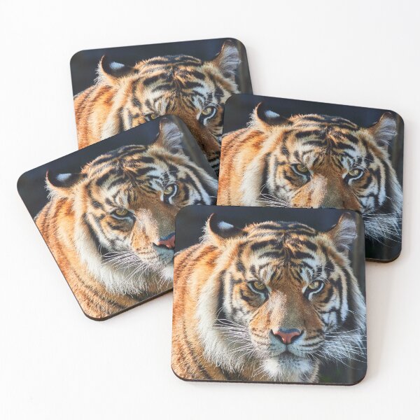Item preview, Are You My Dinner? designed and sold by Eidetic Photos.
