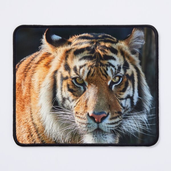 Item preview, Are You My Dinner? designed and sold by Eidetic Photos.