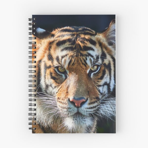 Item preview, Are You My Dinner? designed and sold by Eidetic Photos.