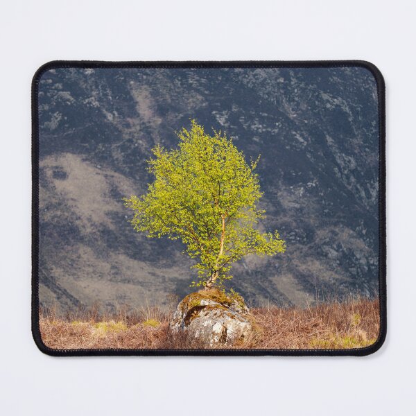 Item preview, Arran Tree designed and sold by David Bowman.
