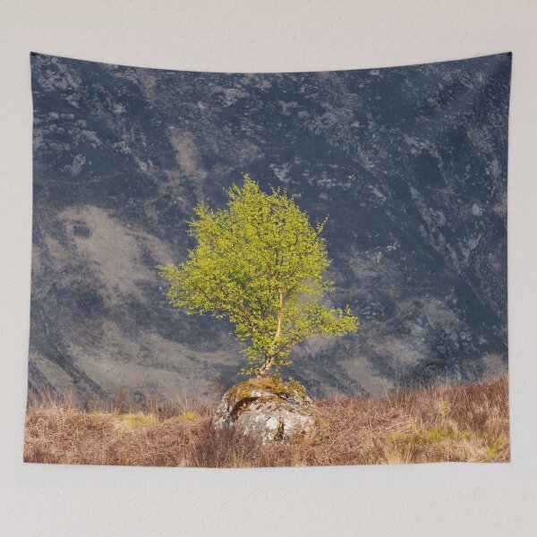 Item preview, Arran Tree designed and sold by David Bowman.