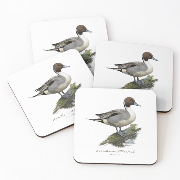 Item preview, Northern Pintail by the Water Bird Illustration designed and sold by Takeda-art.