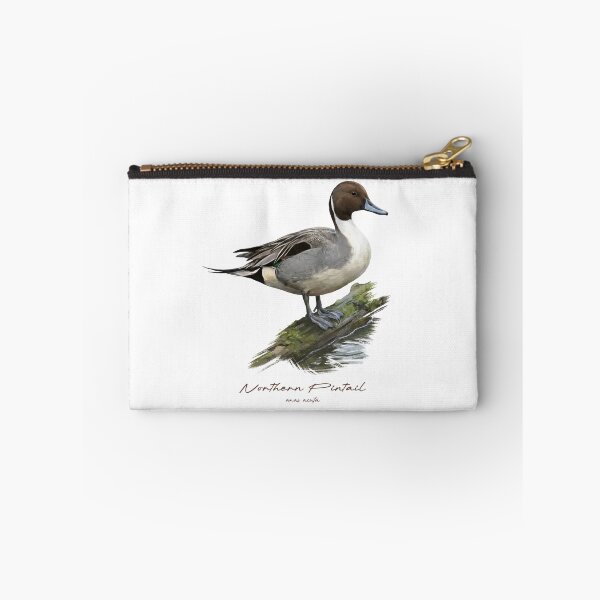 Item preview, Northern Pintail by the Water Bird Illustration designed and sold by Takeda-art.