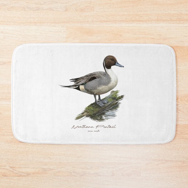 Item preview, Northern Pintail by the Water Bird Illustration designed and sold by Takeda-art.
