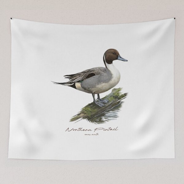 Item preview, Northern Pintail by the Water Bird Illustration designed and sold by Takeda-art.