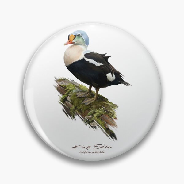 Item preview, King Eider on Mossy Log Bird Illustration designed and sold by Takeda-art.