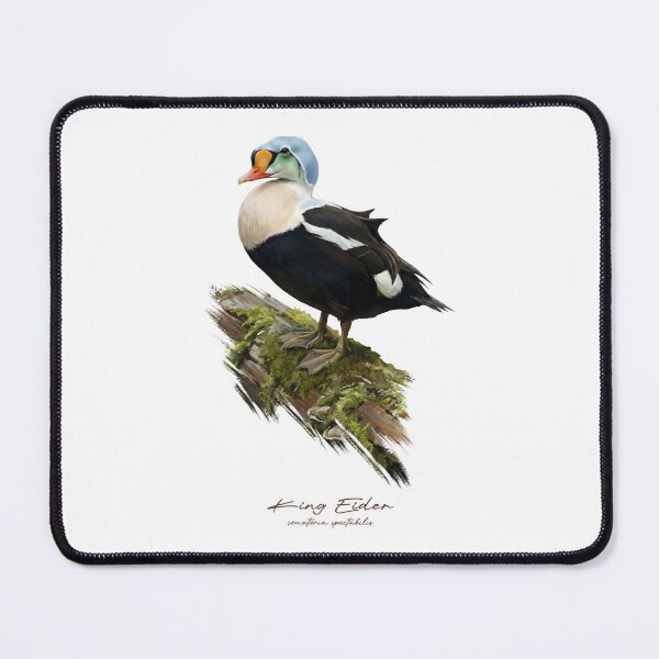 Item preview, King Eider on Mossy Log Bird Illustration designed and sold by Takeda-art.