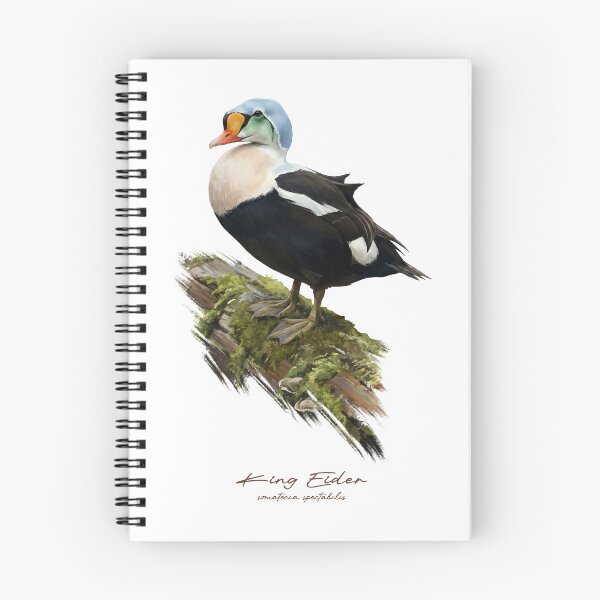 Item preview, King Eider on Mossy Log Bird Illustration designed and sold by Takeda-art.