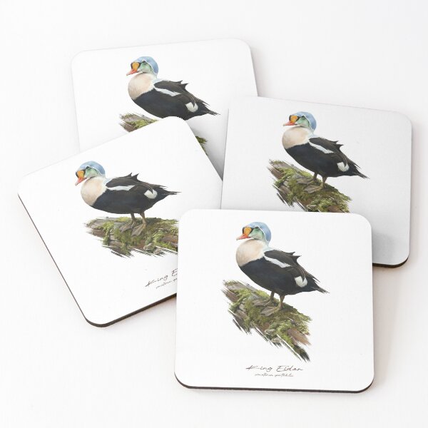 Item preview, King Eider on Mossy Log Bird Illustration designed and sold by Takeda-art.