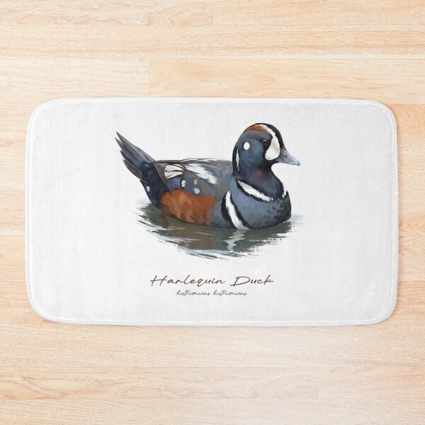 Item preview, Harlequin Duck in Calm Water Bird Illustration designed and sold by Takeda-art.