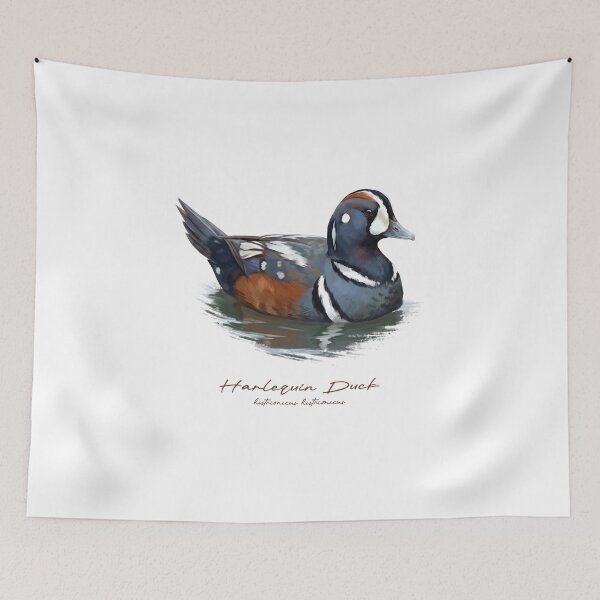 Item preview, Harlequin Duck in Calm Water Bird Illustration designed and sold by Takeda-art.