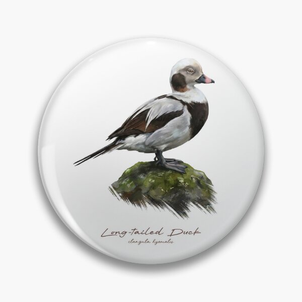 Item preview, Long-tailed Duck on Mossy Rock Bird Illustration designed and sold by Takeda-art.