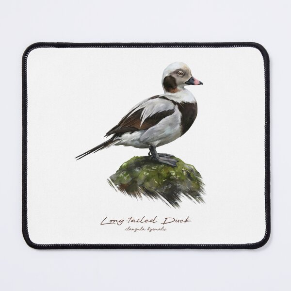 Item preview, Long-tailed Duck on Mossy Rock Bird Illustration designed and sold by Takeda-art.