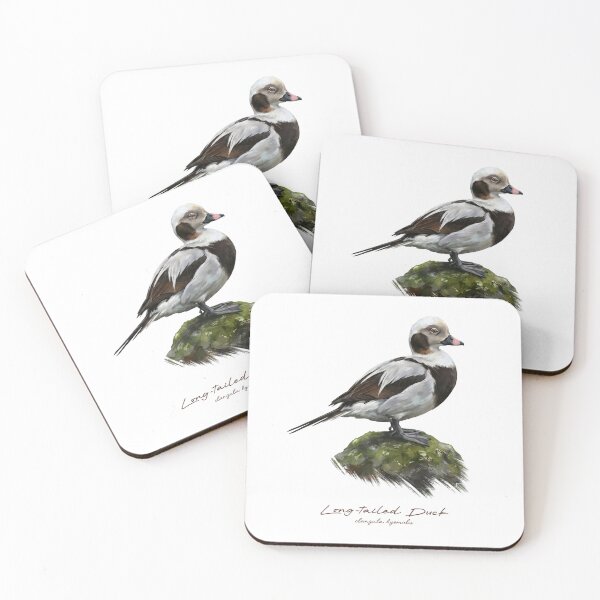 Item preview, Long-tailed Duck on Mossy Rock Bird Illustration designed and sold by Takeda-art.