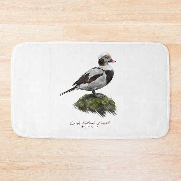 Item preview, Long-tailed Duck on Mossy Rock Bird Illustration designed and sold by Takeda-art.