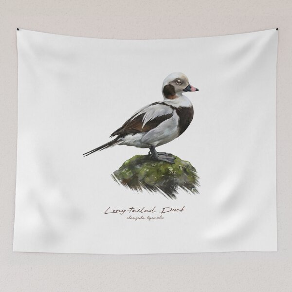 Item preview, Long-tailed Duck on Mossy Rock Bird Illustration designed and sold by Takeda-art.