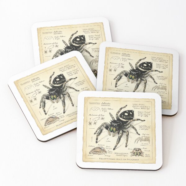 Item preview, Vintage Scientific Illustration Jumping Spider Naturalist designed and sold by Arc2020.