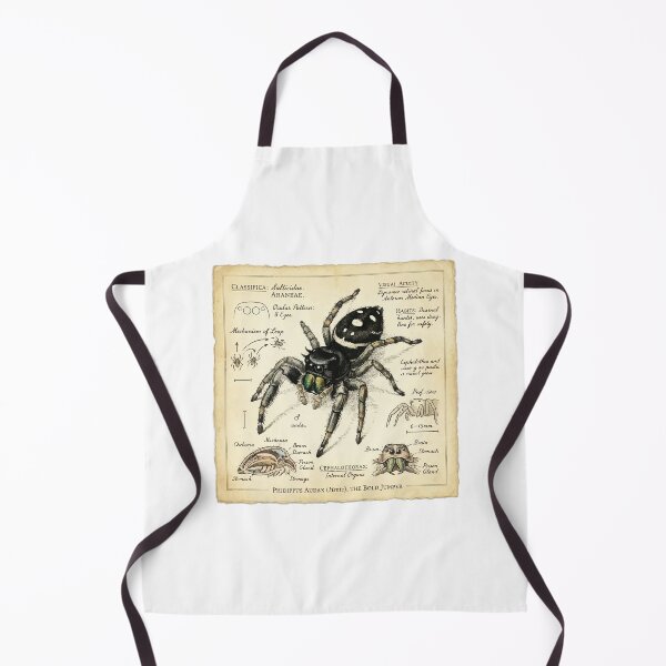 Item preview, Vintage Scientific Illustration Jumping Spider Naturalist designed and sold by Arc2020.