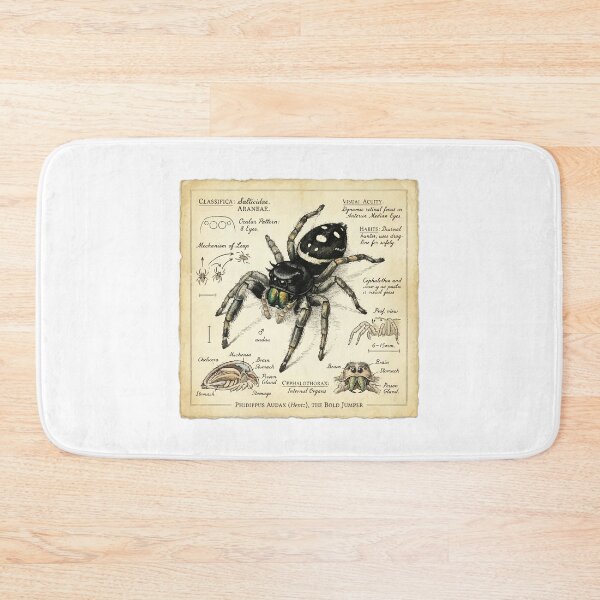 Item preview, Vintage Scientific Illustration Jumping Spider Naturalist designed and sold by Arc2020.