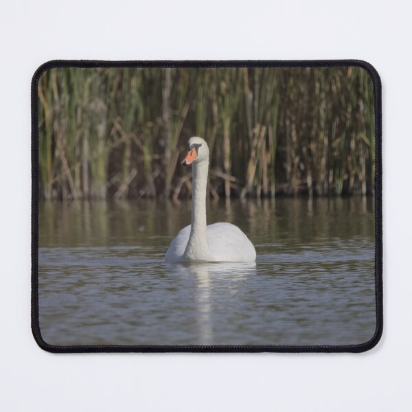 Item preview, Frozen reality - Beautiful nature 1182 designed and sold by deep-sea-birds.