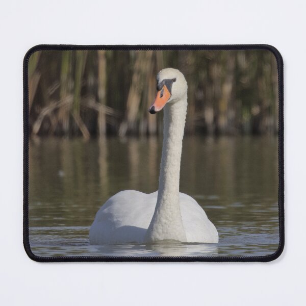 Item preview, Frozen reality - Beautiful nature 1184 designed and sold by deep-sea-birds.