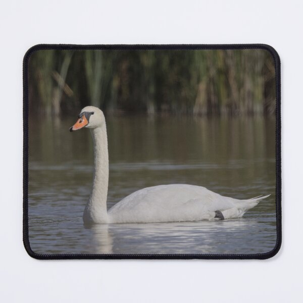 Item preview, Frozen reality - Beautiful nature 1186 designed and sold by deep-sea-birds.