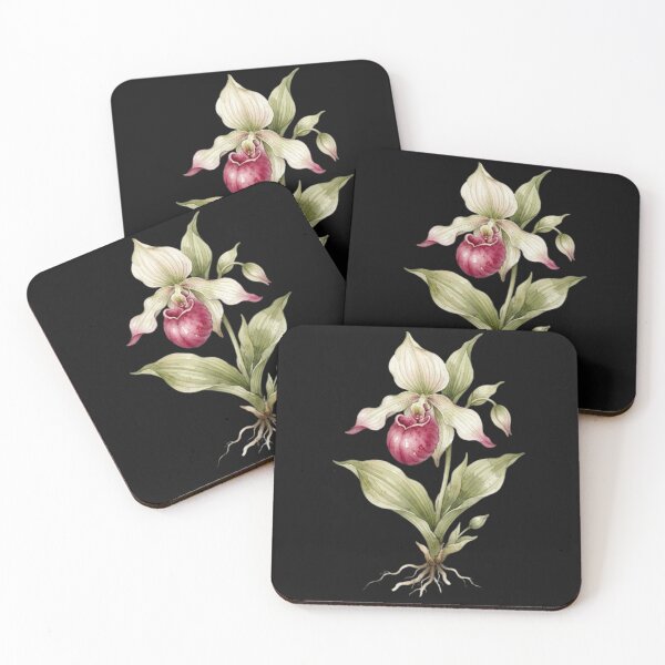 Item preview, Vintage Botanical Lady Slipper Orchid Watercolor Art    designed and sold by bvdesignart.