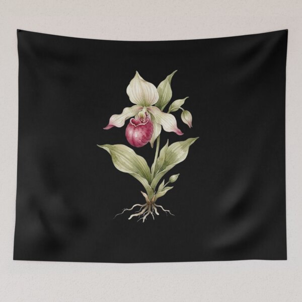 Item preview, Vintage Botanical Lady Slipper Orchid Watercolor Art    designed and sold by bvdesignart.