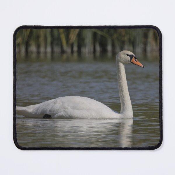 Item preview, Frozen reality - Beautiful nature 1191 designed and sold by deep-sea-birds.