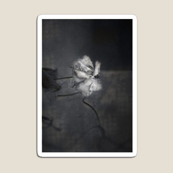 Item preview, Silent Bloom designed and sold by MagnishArt.