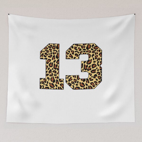 Item preview, 13th Birthday, leopard print number 13 designed and sold by TypeMisbehaving.