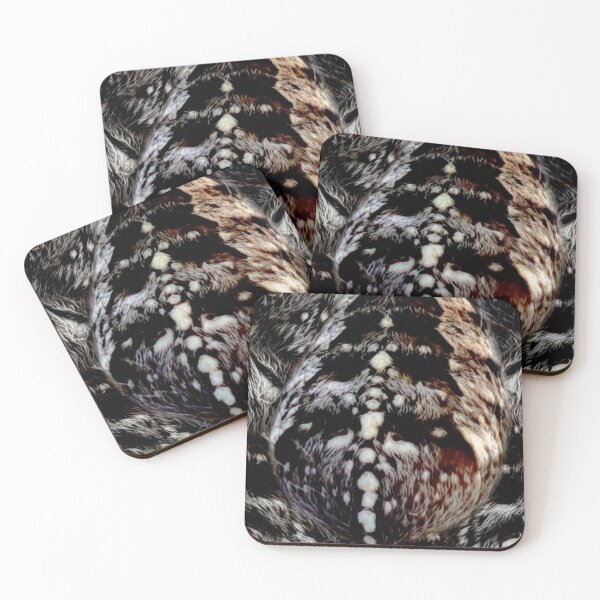 Item preview, Cross spider pattern macro nature spider skin arachnid designed and sold by Ascooepics.