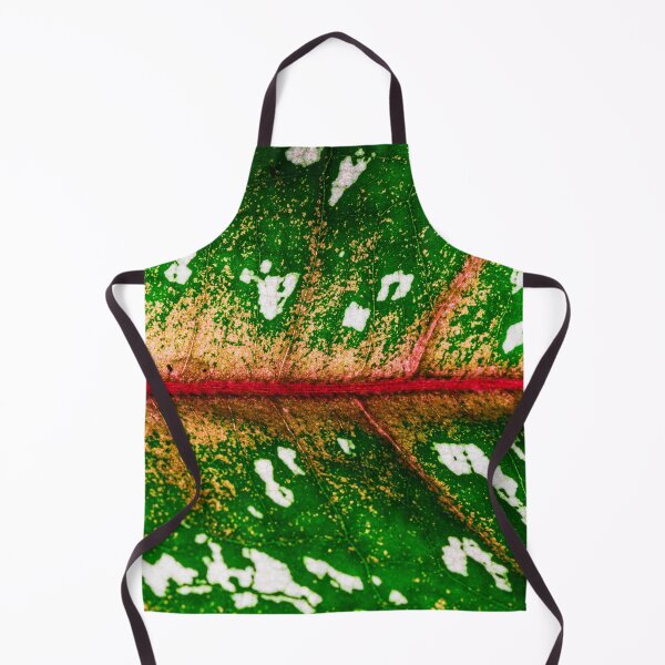 Item preview, Caladium bicolor, houseplant designed and sold by Nicole Bleck.